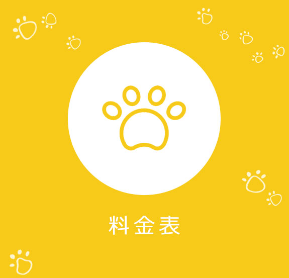 料金表