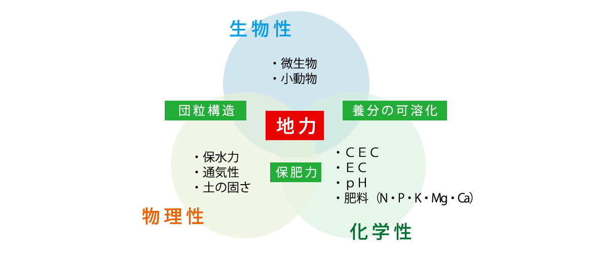 土づくりの三要素を考える