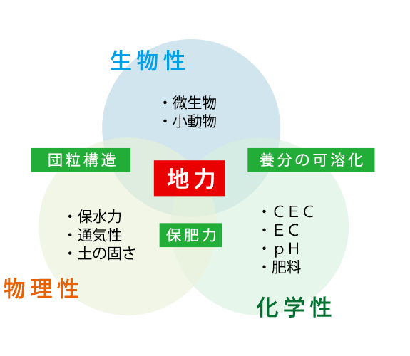 土づくりの三要素を考える～生物性その１～