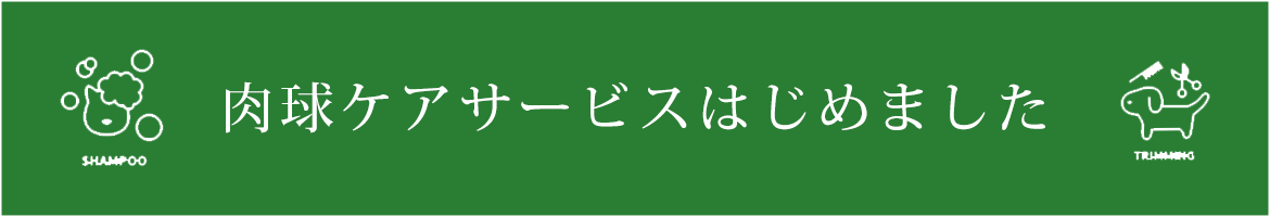 画像：肉球ケアサービスはじめました