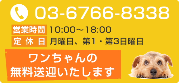 ワンちゃんの無料送迎いたします