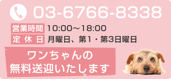 ワンちゃんの無料送迎いたします