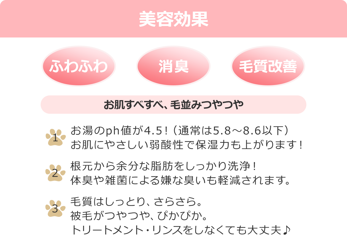 美容効果