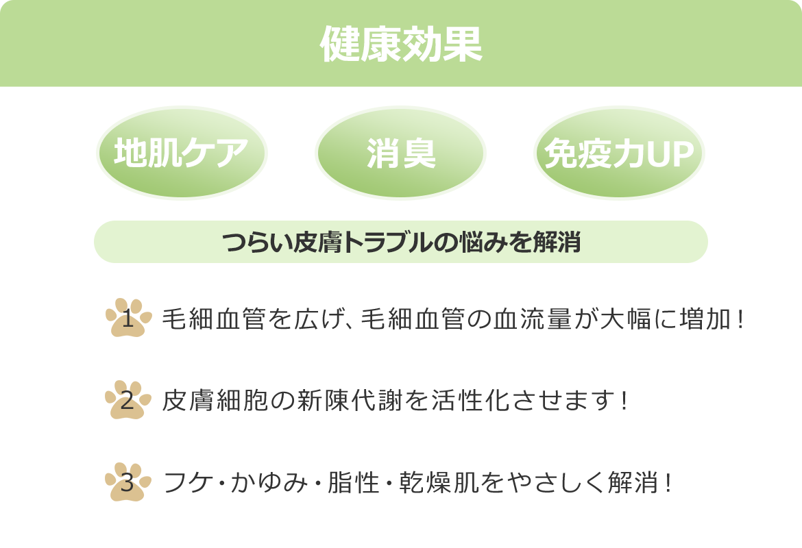 健康効果