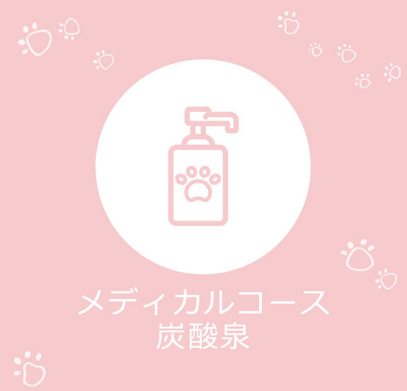 メディカルコース　炭酸泉