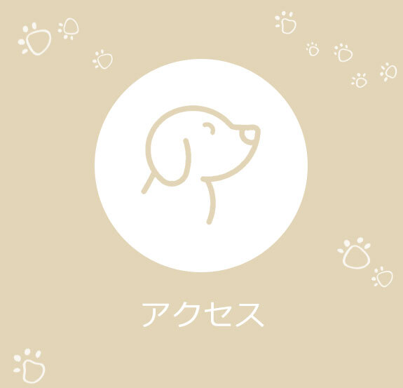 アクセス