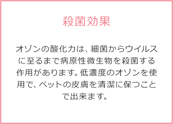 殺菌効果