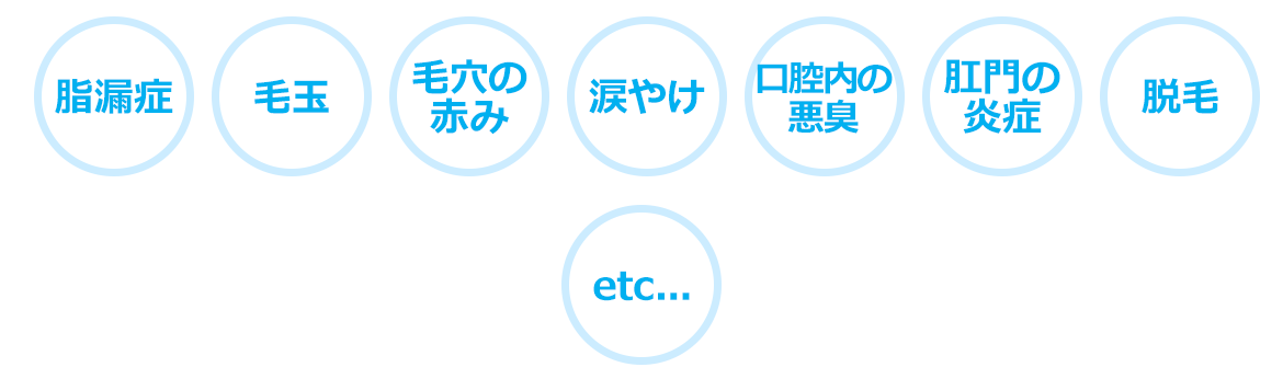ラテスパってなに・・？