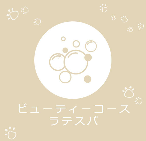 ビューティーコース　ラテスパ
