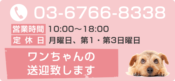 ワンちゃんの送迎いたします