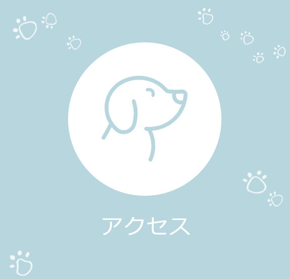 アクセス